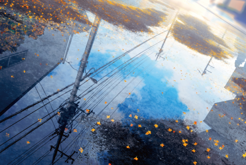 mocha ポストカード6枚セット(B)