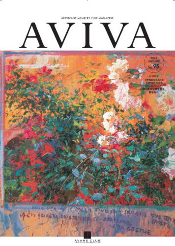 AVIVA95号