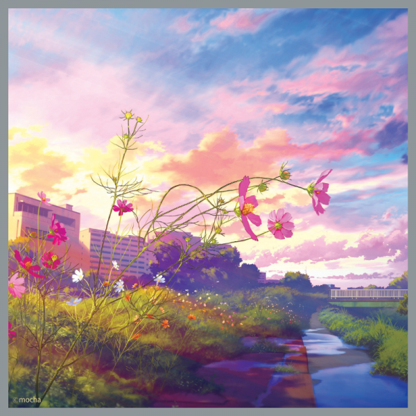 mocha クリア色紙(コスモスの空)