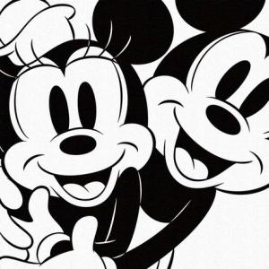 Disney ファブリックパネル ミッキー&ミニー(dsny-1806-01)
