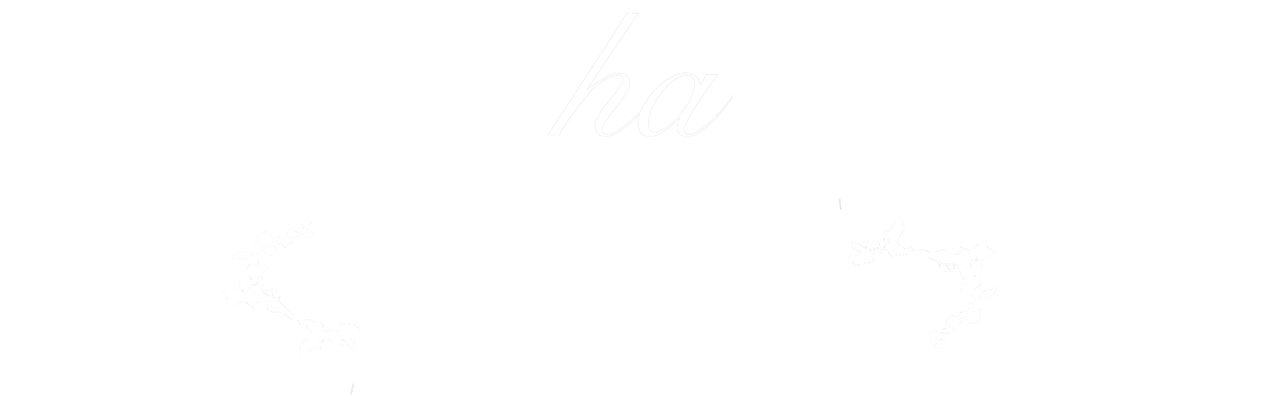 mocha 新作 主を待つ