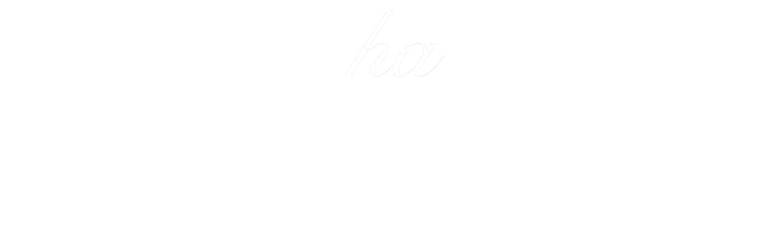 mocha 新作 桜流れ