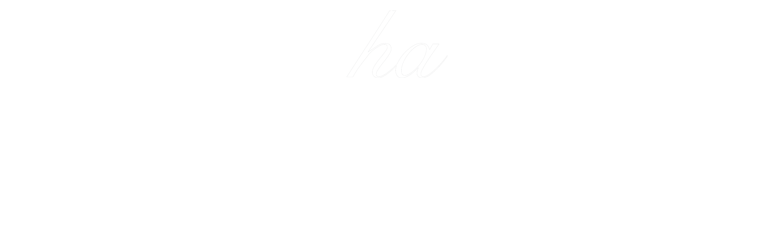 mocha 新作 桜流れ