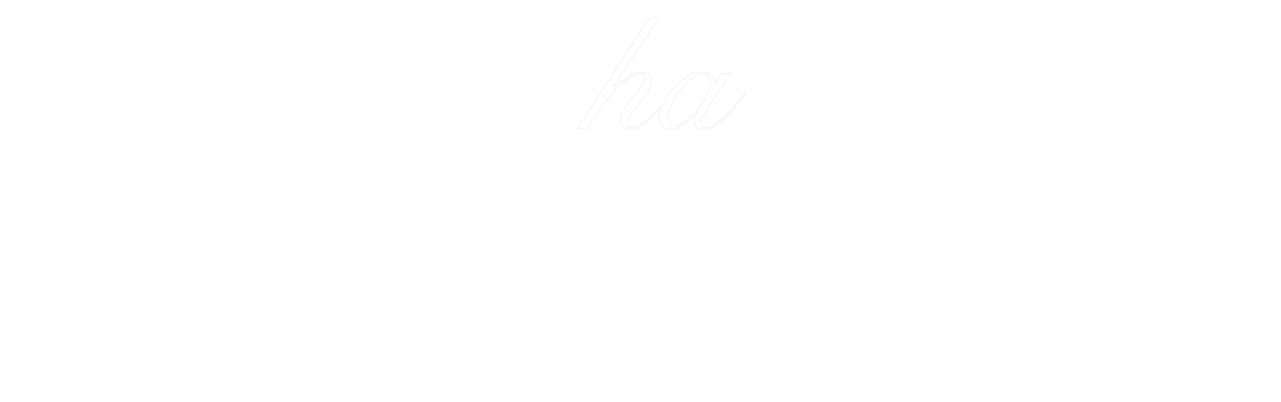 mocha 新作 桜流れ