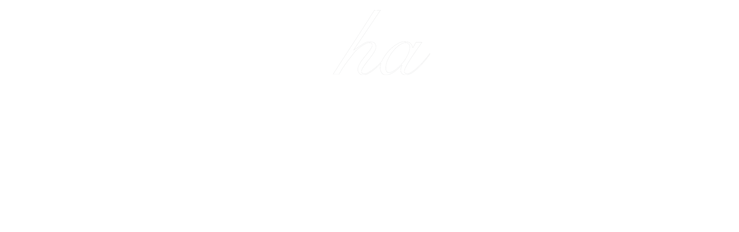 mocha 新作 桜流れ