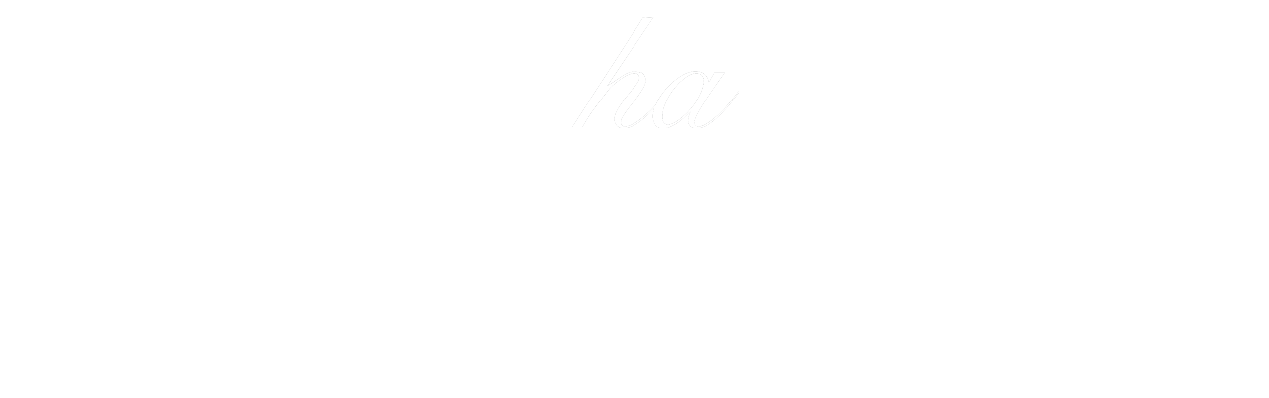 mocha 新作 桜流れ