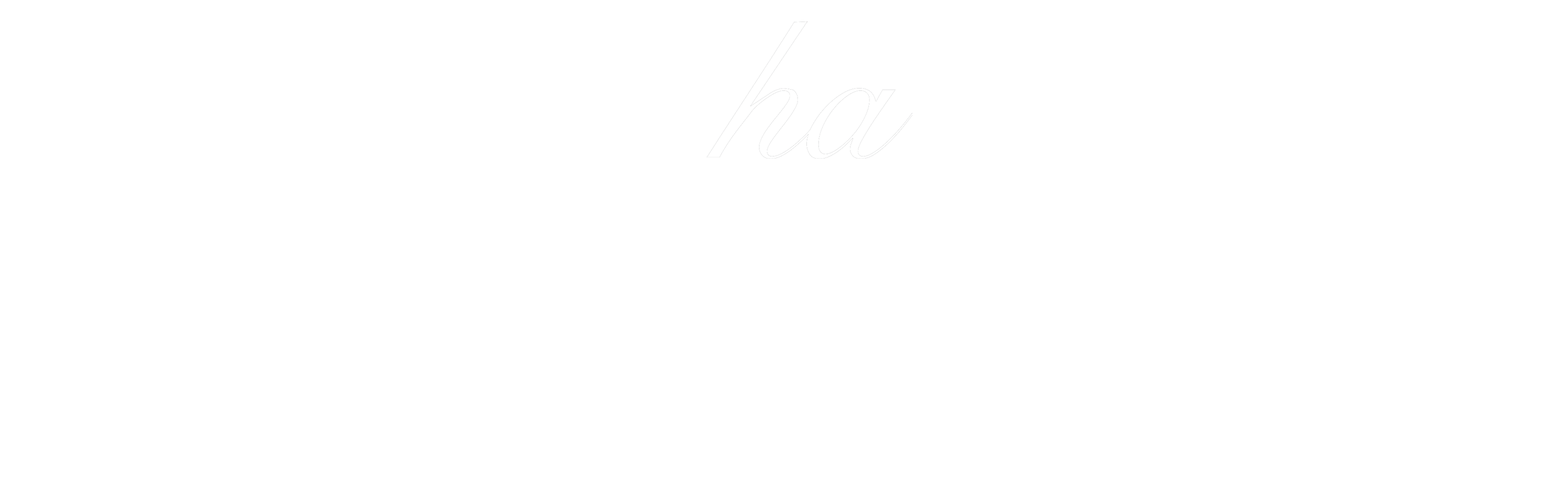 mocha 新作 桜流れ