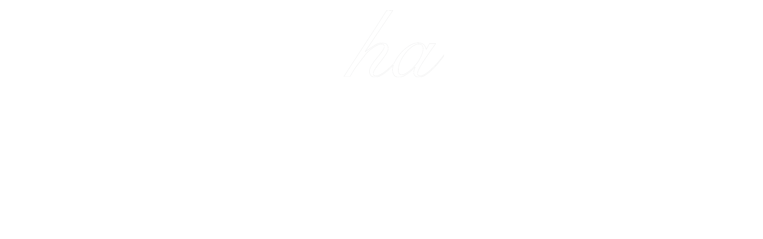 mocha 新作 桜流れ