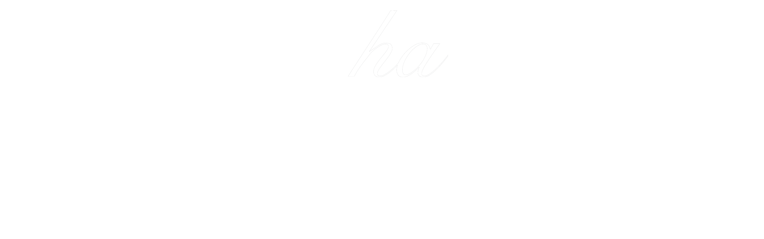 mocha 新作 桜流れ