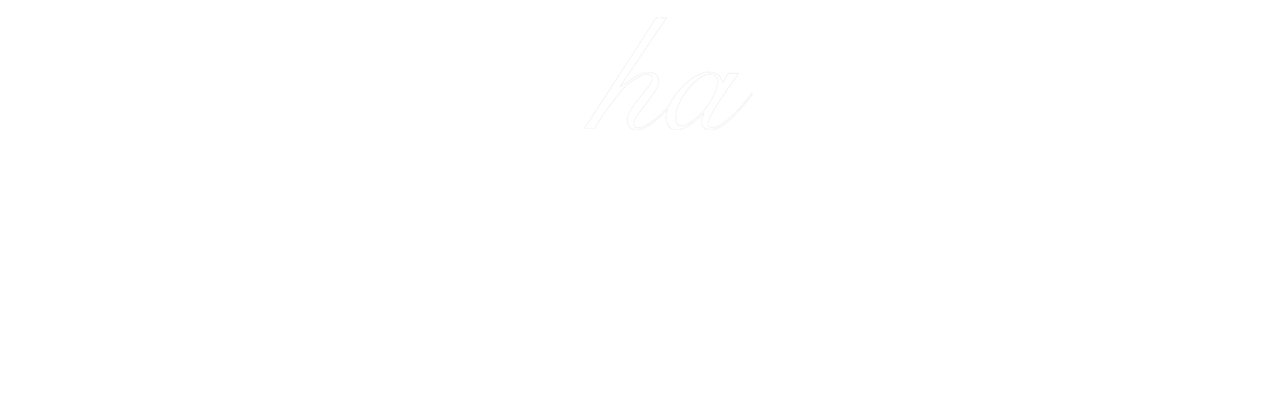 mocha 新作 桜流れ