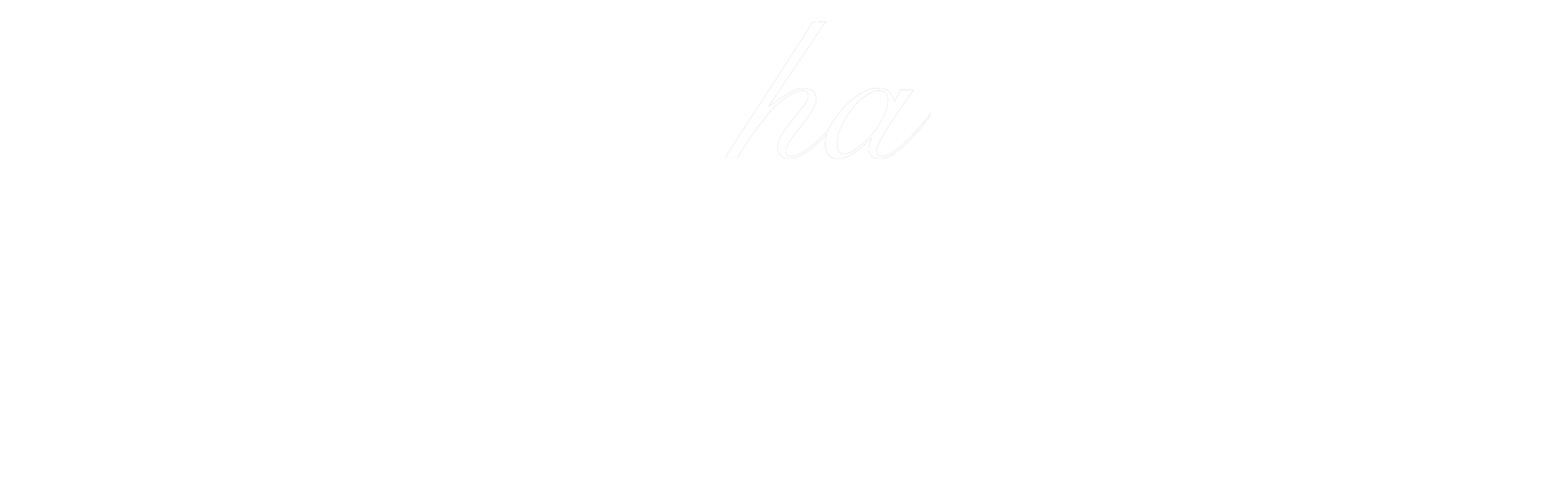 mocha 新作 煌々