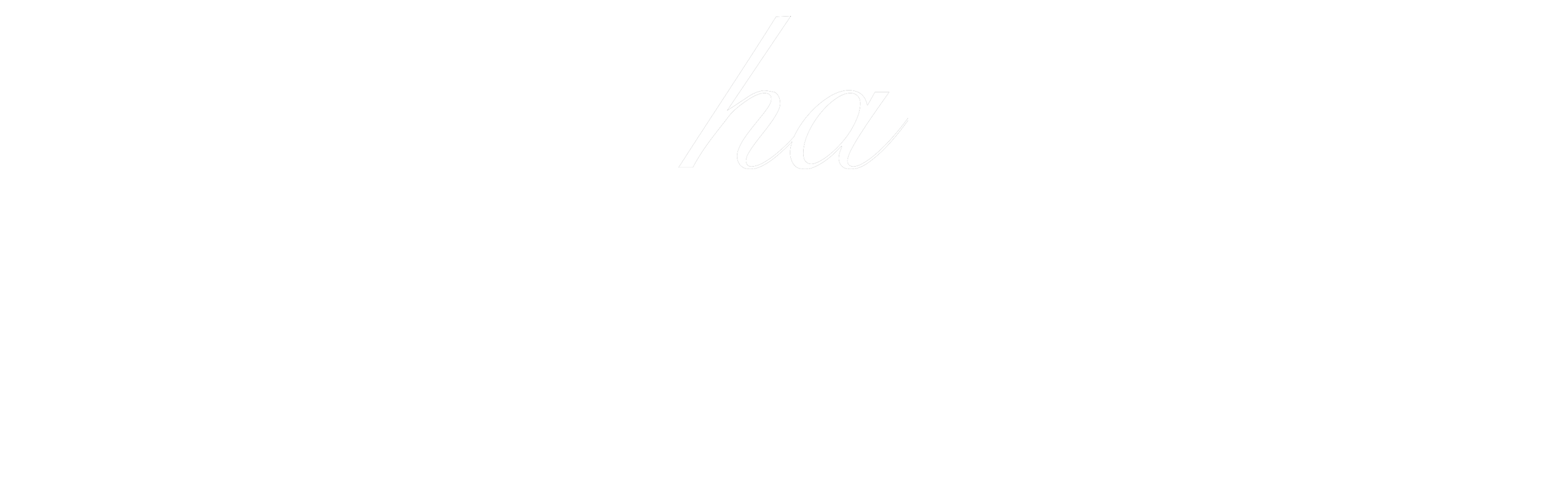 mocha 新作 四季並べ