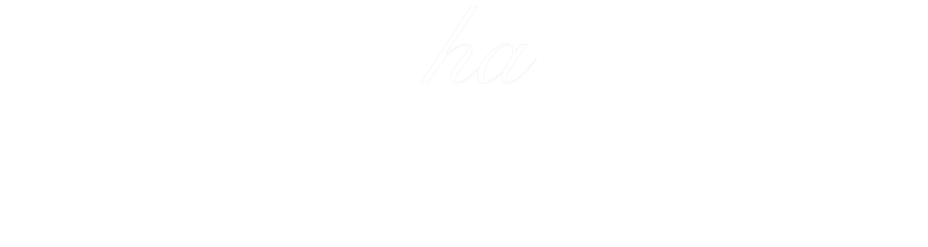 mocha 新作 四季並べ